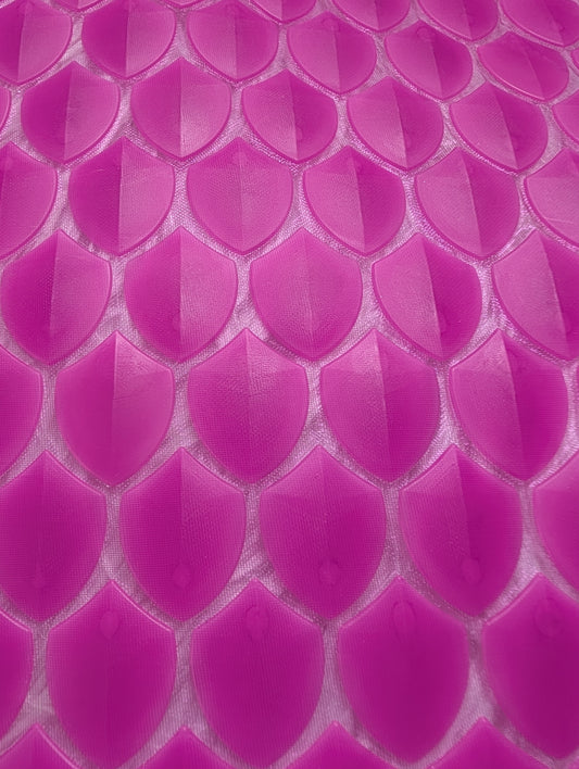 "The Queen's Blush" Fuchsia Scale